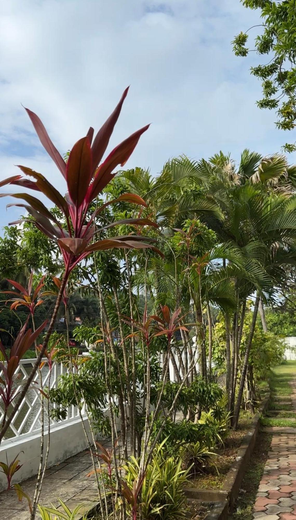 Hotel Riverside บากา ภายนอก รูปภาพ
