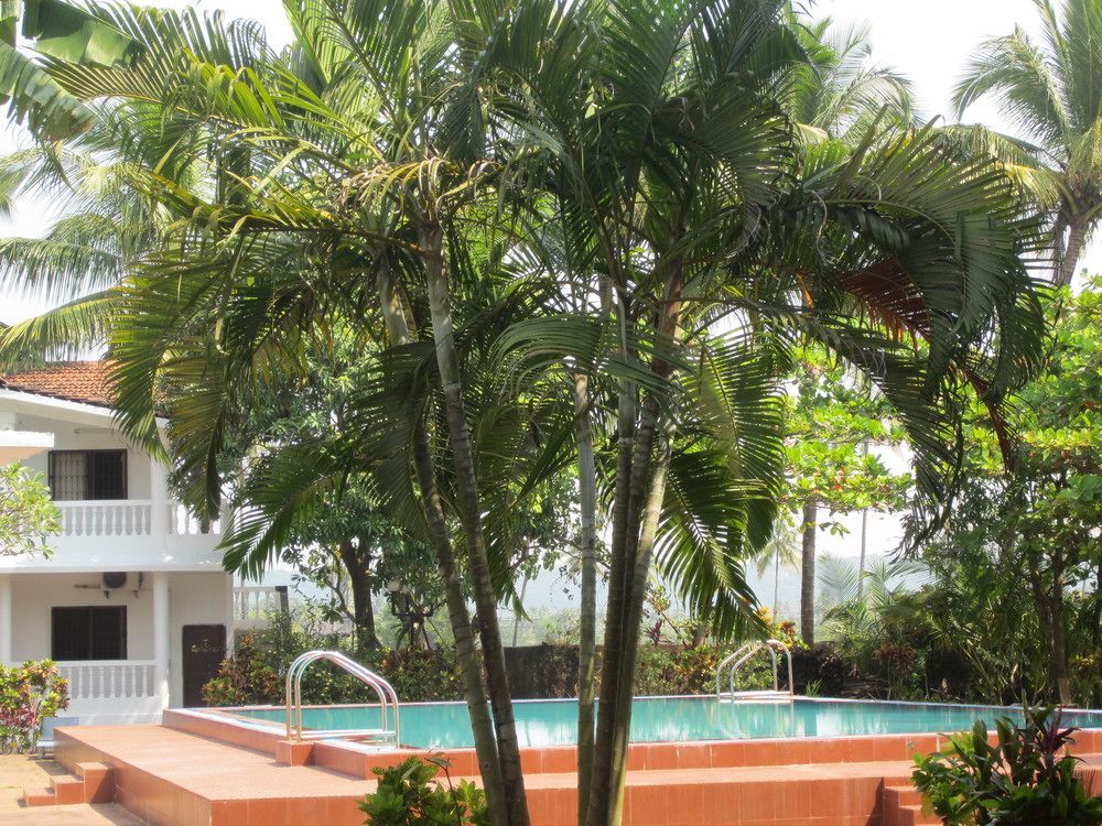 Hotel Riverside บากา ภายนอก รูปภาพ